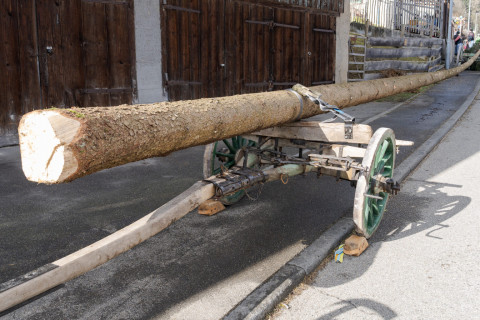 Heudorf_Dorffasnet_2025_Schmotziger_LK-3258