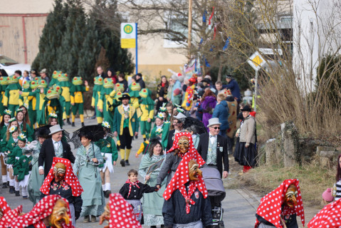 Heuliecher_Freundschaftstreffen2025_Jubiläumsumzug_SKR-6603