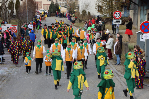 Heuliecher_Freundschaftstreffen2025_Jubiläumsumzug_SKR-6649
