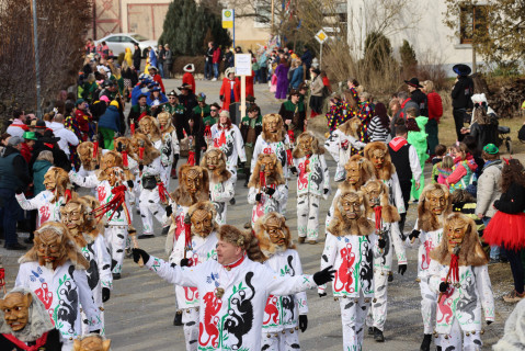 Heuliecher_Freundschaftstreffen2025_Jubiläumsumzug_SKR-6869