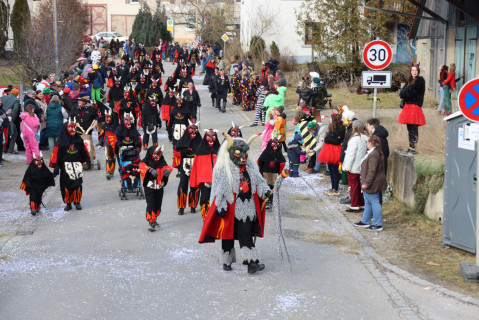 Heuliecher_Freundschaftstreffen2025_Jubiläumsumzug_SKR-6984