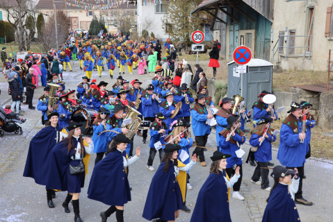 Heuliecher_Freundschaftstreffen2025_Jubiläumsumzug_SKR-7130