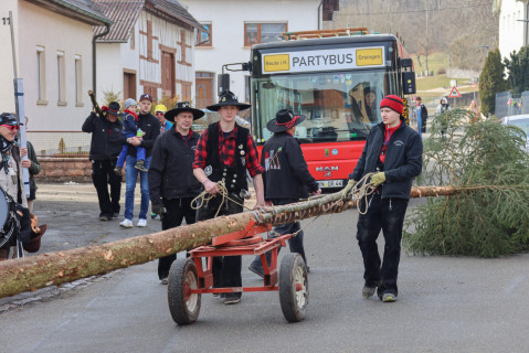 Heuliecher_Freundschaftstreffen2025_Narrenbaum-Umzug-Stellen_SKR-5911