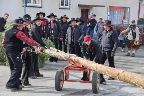 Heuliecher_Freundschaftstreffen2025_Narrenbaum-Umzug-Stellen_SKR-5931
