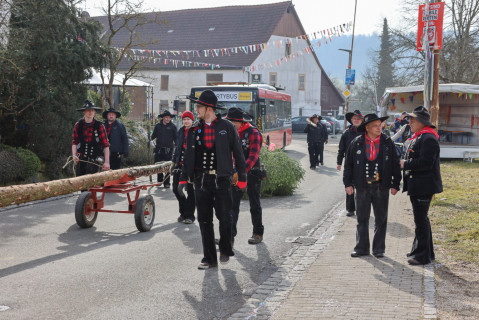 Heuliecher_Freundschaftstreffen2025_Narrenbaum-Umzug-Stellen_SKR-5944