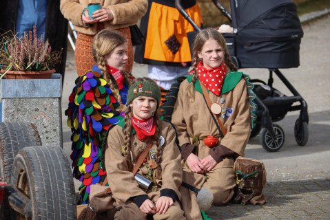 Heuliecher_Freundschaftstreffen2025_Narrenbaum-Umzug-Stellen_SKR-6011