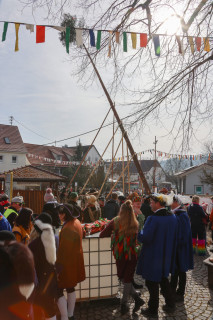 Heuliecher_Freundschaftstreffen2025_Narrenbaum-Umzug-Stellen_SKR-6081