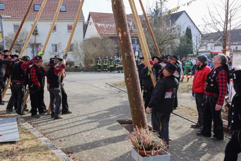 Heuliecher_Freundschaftstreffen2025_Narrenbaum-Umzug-Stellen_SKR-6092
