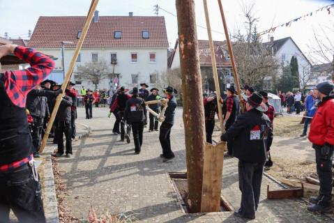 Heuliecher_Freundschaftstreffen2025_Narrenbaum-Umzug-Stellen_SKR-6102