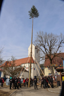 Heuliecher_Freundschaftstreffen2025_Narrenbaum-Umzug-Stellen_SKR-6103