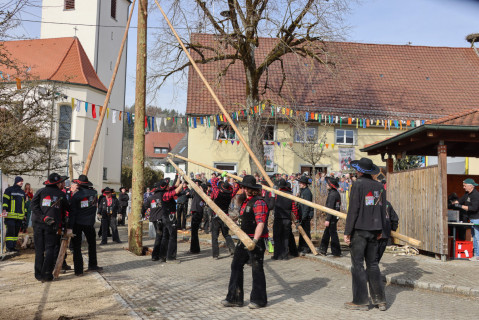 Heuliecher_Freundschaftstreffen2025_Narrenbaum-Umzug-Stellen_SKR-6104